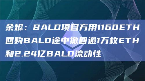 余烬：BALD项目方用1160ETH回购BALD途中撤回逾1万枚ETH和2.24亿BALD流动性