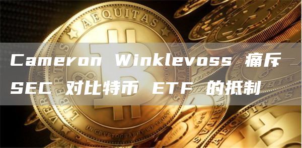 Cameron Winklevoss 痛斥 SEC 对比特币 ETF 的抵制