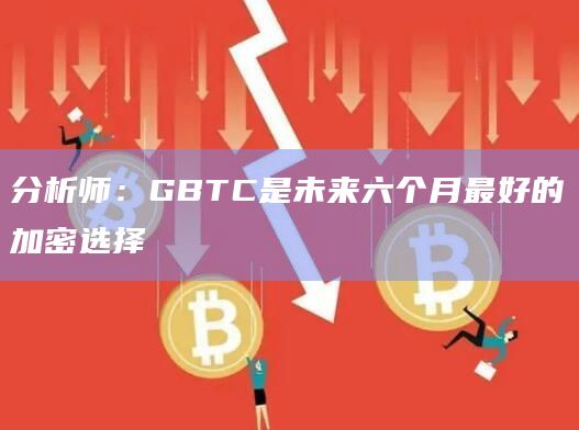 分析师:GBTC是未来六个月最好的加密选择