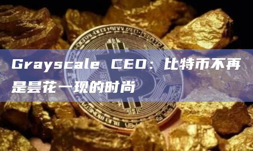 Grayscale CEO:比特币不再是昙花一现的时尚