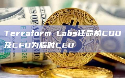 Terraform Labs任命前COO及CFO为临时CEO