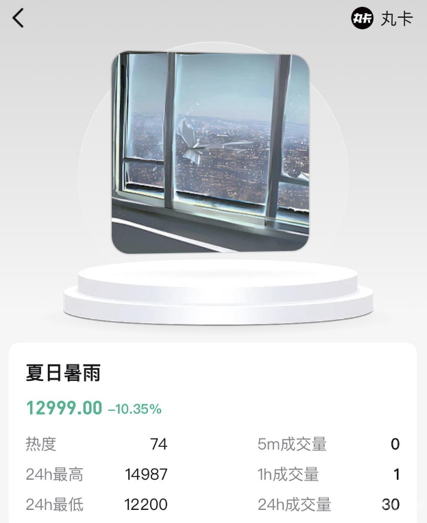 “丸卡”的风险评估5 “丸卡”的风险评估5