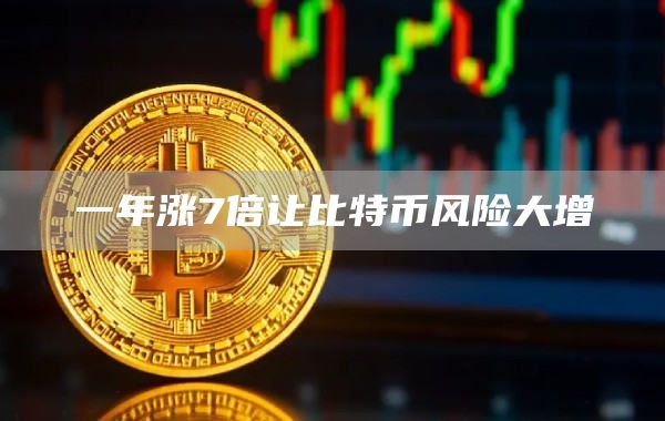 一年涨7倍让比特币风险大增