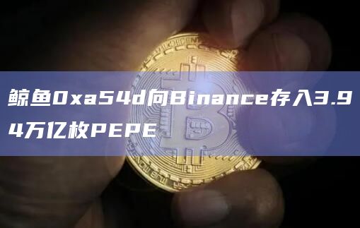 鲸鱼0xa54d向Binance存入3.94万亿枚PEPE