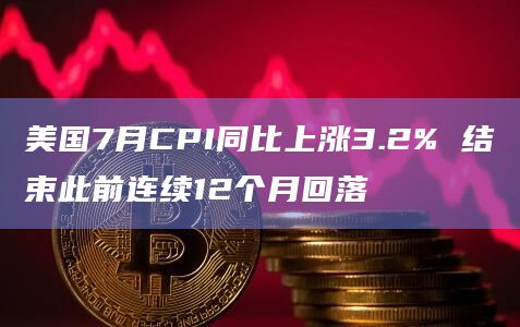 美国7月CPI同比上涨3.2% 结束此前连续12个月回落