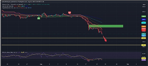 柴犬(SHIB)和币安币(BNB)处于严重下跌风险1 柴犬(SHIB)和币安币(BNB)处于严重下跌风险1