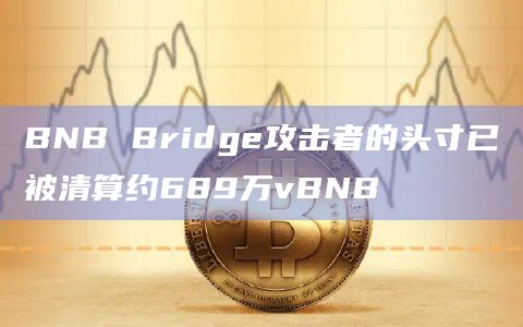 BNB Bridge攻击者的头寸已被清算约689万vBNB