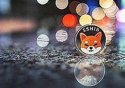 柴犬(SHIB)在下一次加密货币牛市中能走多高?