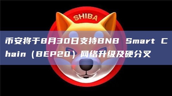 币安将于8月30日支持BNB Smart Chain（BEP20）网络升级及硬分叉