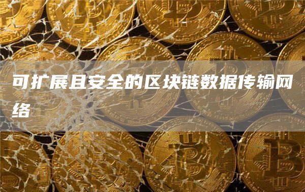 可扩展且安全的区块链数据传输网络