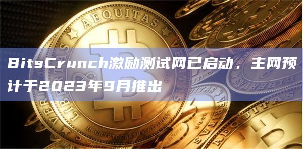 BitsCrunch激励测试网已启动，主网预计于2023年9月推出