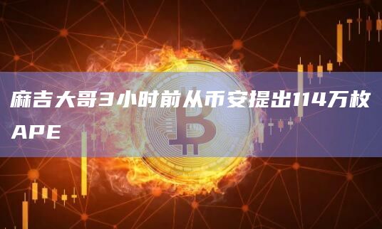 麻吉大哥3小时前从币安提出114万枚APE