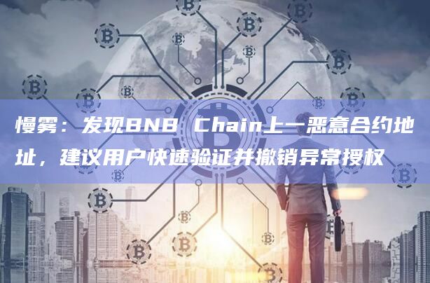 慢雾:发现BNB Chain上一恶意合约地址,建议用户快速验证并撤销异常授权