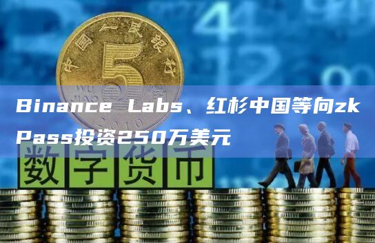 Binance Labs、红杉中国等向zkPass投资250万美元