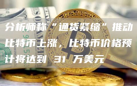 分析师称“通货紧缩”推动比特币上涨，比特币价格预计将达到 31 万美元