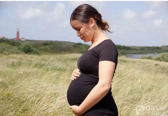 被骗缅北女孩常挺大肚子是真的吗