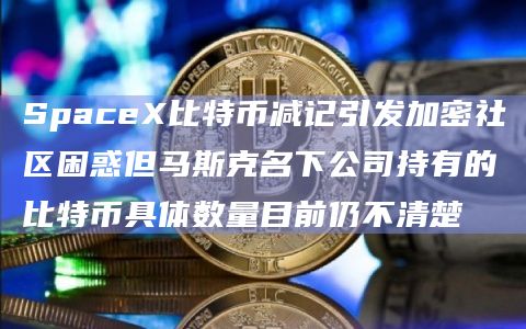 SpaceX比特币减记引发加密社区困惑但马斯克名下公司持有的比特币具体数量目前仍不清楚
