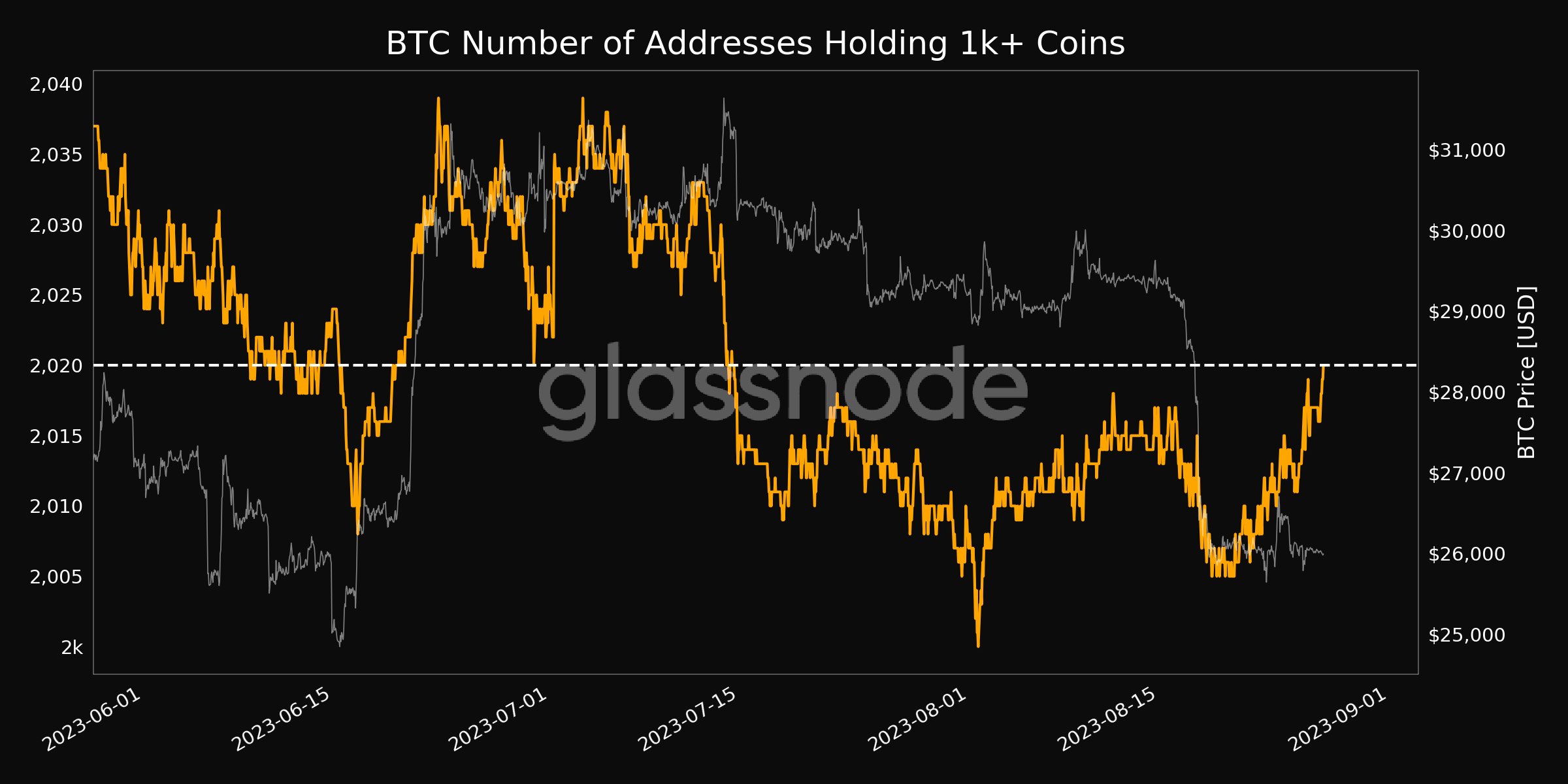 持有至少1000枚比特币的地址数达到2020个，创1个月新高