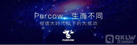 Purcow货币交易所符合当地法规吗?