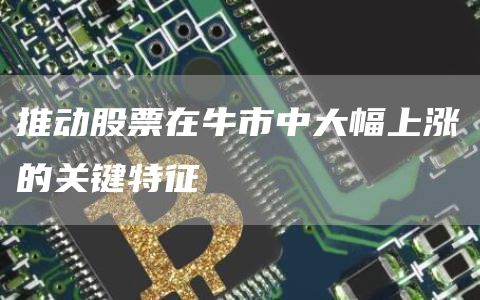 推动股票在牛市中大幅上涨的关键特征