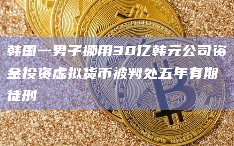 韩国一男子挪用30亿韩元公司资金投资虚拟货币被判处五年有期徒刑