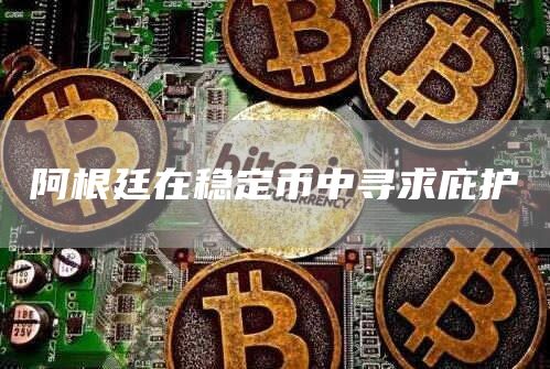 阿根廷在稳定币中寻求庇护