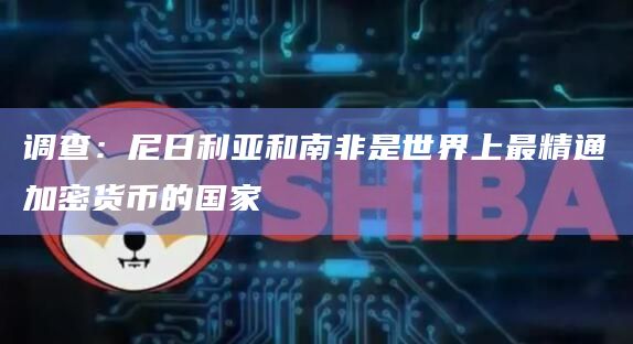 调查：尼日利亚和南非是世界上最精通加密货币的国家