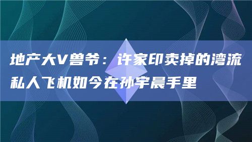 地产大V兽爷：许家印卖掉的湾流私人飞机如今在孙宇晨手里