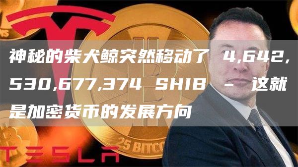神秘的柴犬鲸突然移动了 4,642,530,677,374 SHIB – 这就是加密货币的发展方向