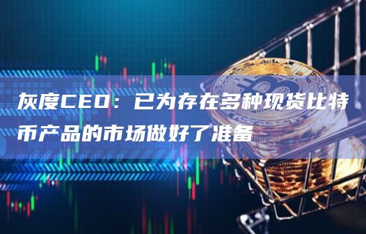 灰度CEO：已为存在多种现货比特币产品的市场做好了准备