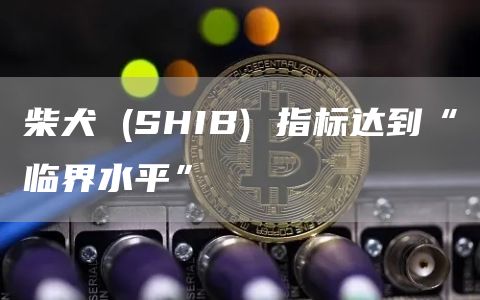 柴犬 (SHIB) 指标达到“临界水平”
