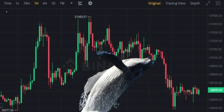 少于100枚BTC钱包地址创新高!但巨鲸持续抛售 比特币下探2.6万美元