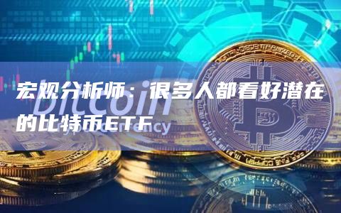 宏观分析师：很多人都看好潜在的比特币ETF