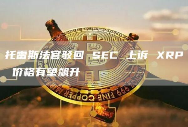 托雷斯法官驳回 SEC 上诉 XRP 价格有望飙升