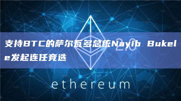 支持BTC的萨尔瓦多总统Nayib Bukele发起连任竞选