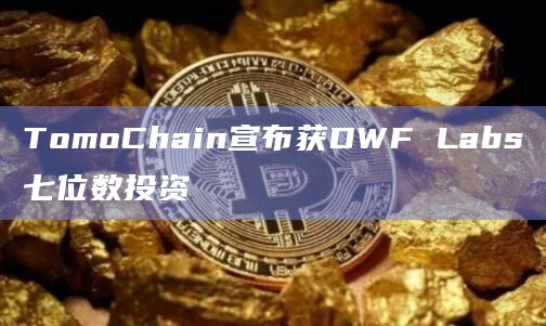 TomoChain宣布获DWF Labs七位数投资