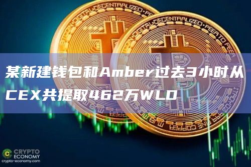 某新建钱包和Amber过去3小时从CEX共提取462万WLD