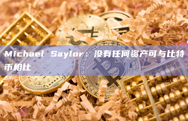 Michael Saylor：没有任何资产可与比特币相比