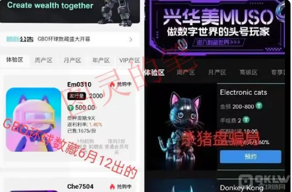 十大传销盘之：兴华美（MUSO）
