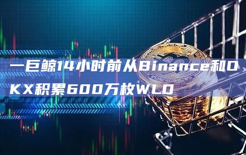 一巨鲸14小时前从Binance和OKX积累600万枚WLD