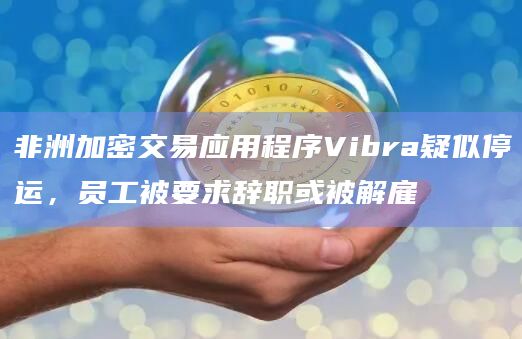 非洲加密交易应用程序Vibra疑似停运，员工被要求辞职或被解雇
