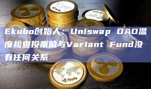 Ekubo创始人：Uniswap DAO温度检查投票前与Variant Fund没有任何关系