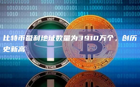 比特币盈利地址数量为3910万个，创历史新高