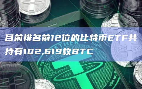 目前排名前12位的比特币ETF共持有102,619枚BTC