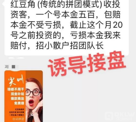 曝光非法集资:红豆角