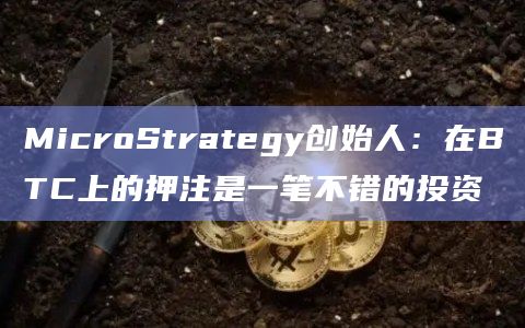 MicroStrategy创始人：在BTC上的押注是一笔不错的投资