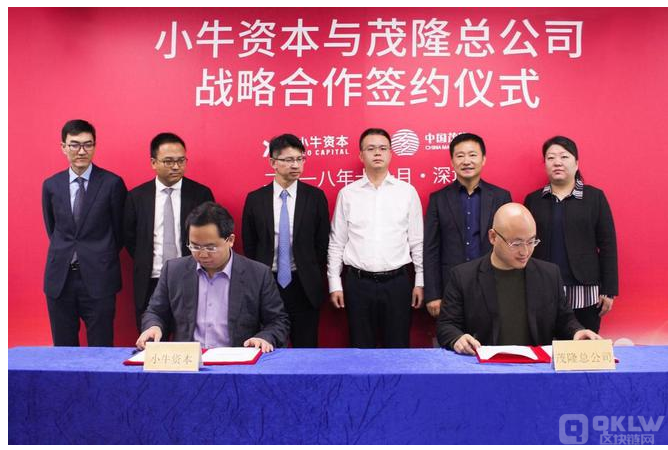 币圈打诈骗之：小牛资本