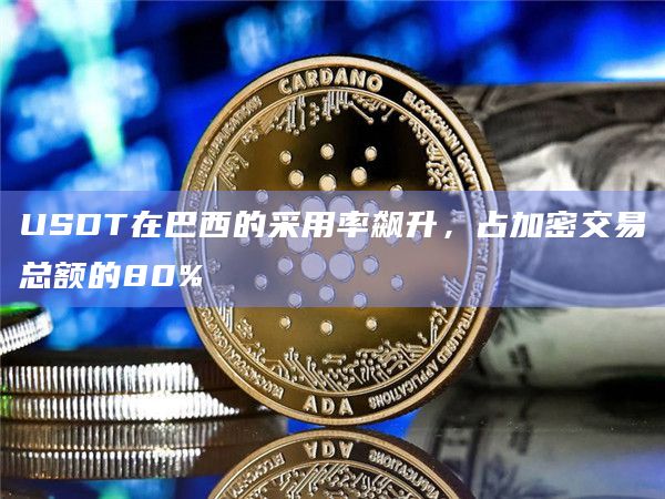 USDT在巴西的采用率飙升，占加密交易总额的80%