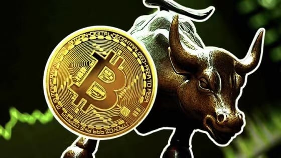 比特币的盈利地址数已达到3910万个