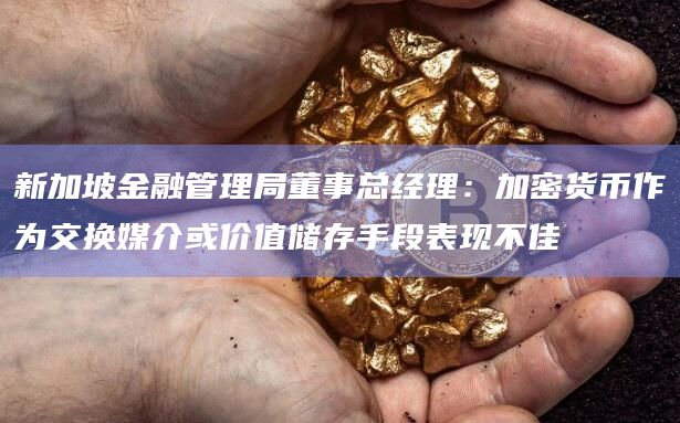 新加坡金融管理局董事总经理:加密货币作为交换媒介或价值储存手段表现不佳